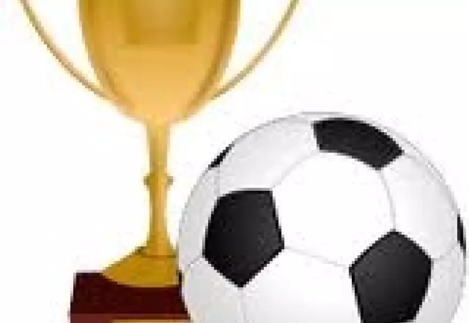 Turnaje ml. přípravky podzim/zima 2014