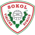 TJ Sokol Viničné Šumice