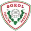 TJ Sokol Viničné Šumice