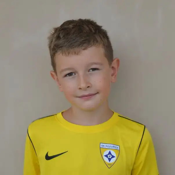 Denis Šustai