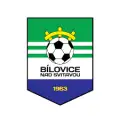 SK Bílovice nad Svitavou B